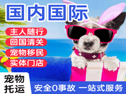 静巴空运公司国际宠物托运 【国