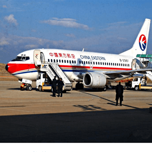 静巴空运公司航空快运业稳步发展的原因是什么？